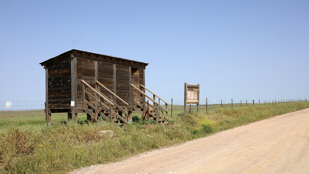 Vogelhut bij de llanos de Cáceres